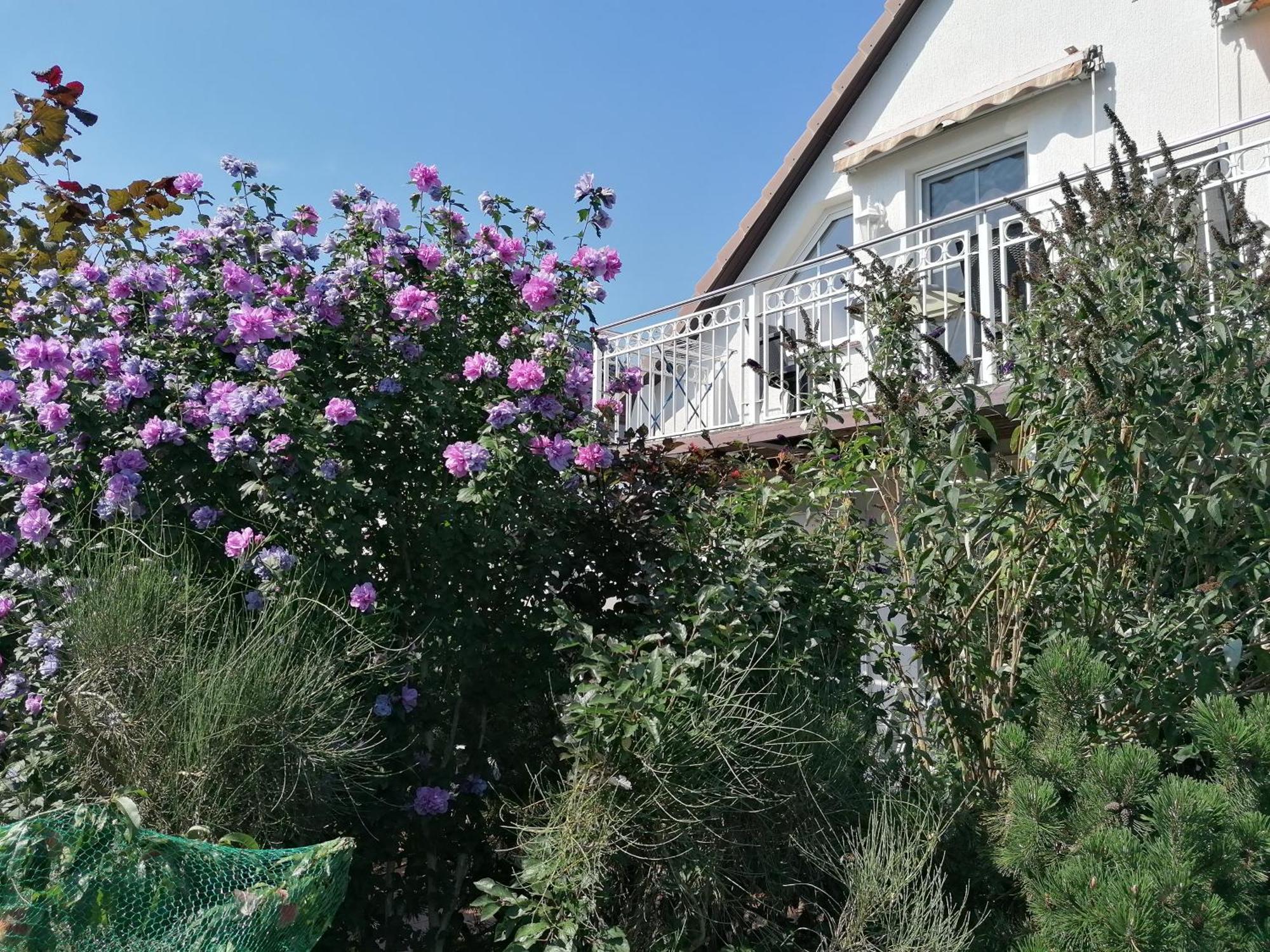 Pension Haus Anneliese يوكيريتز المظهر الخارجي الصورة